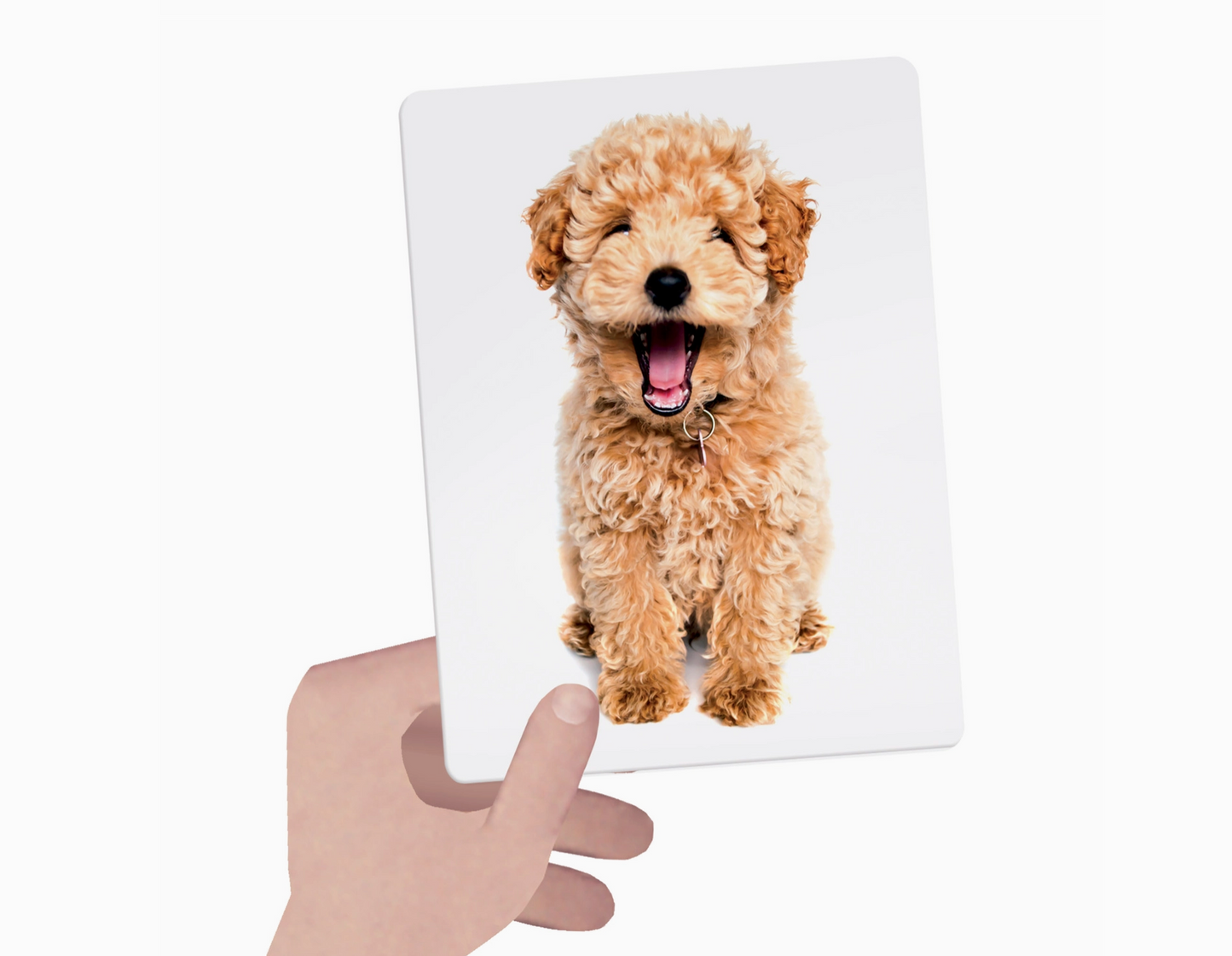 Tactile Flash Cards