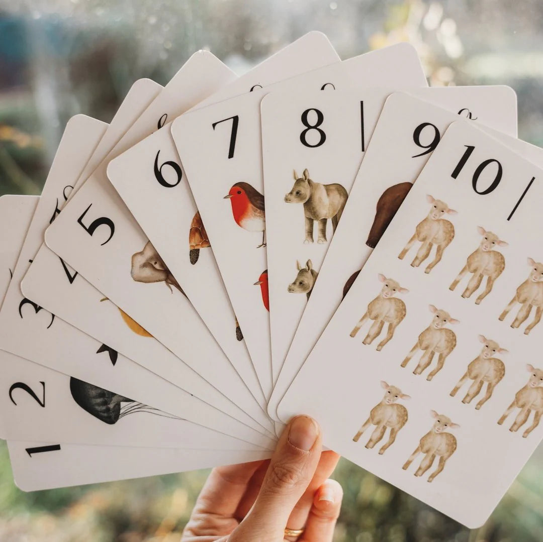 "Nature's 123" Flashcards
