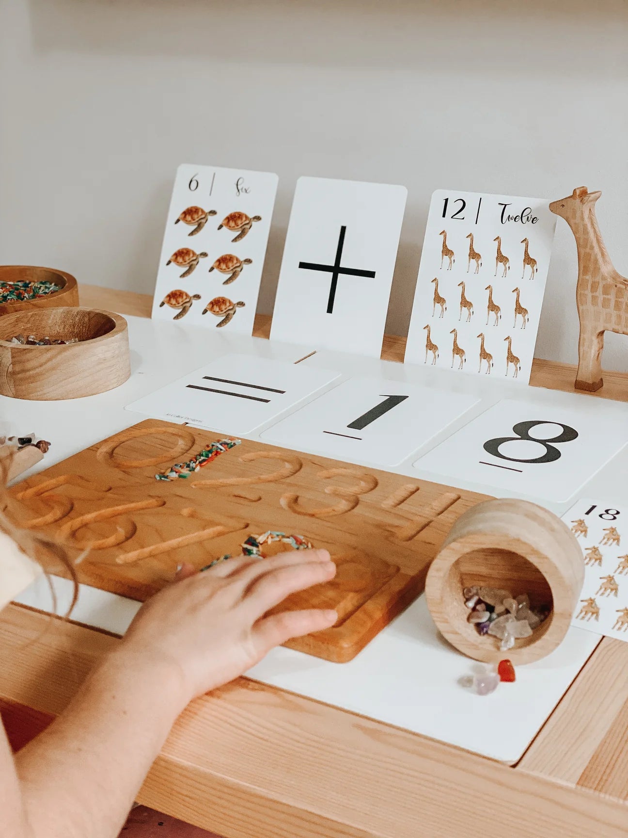 "Nature's 123" Flashcards