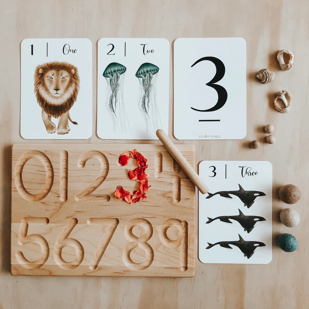 "Nature's 123" Flashcards