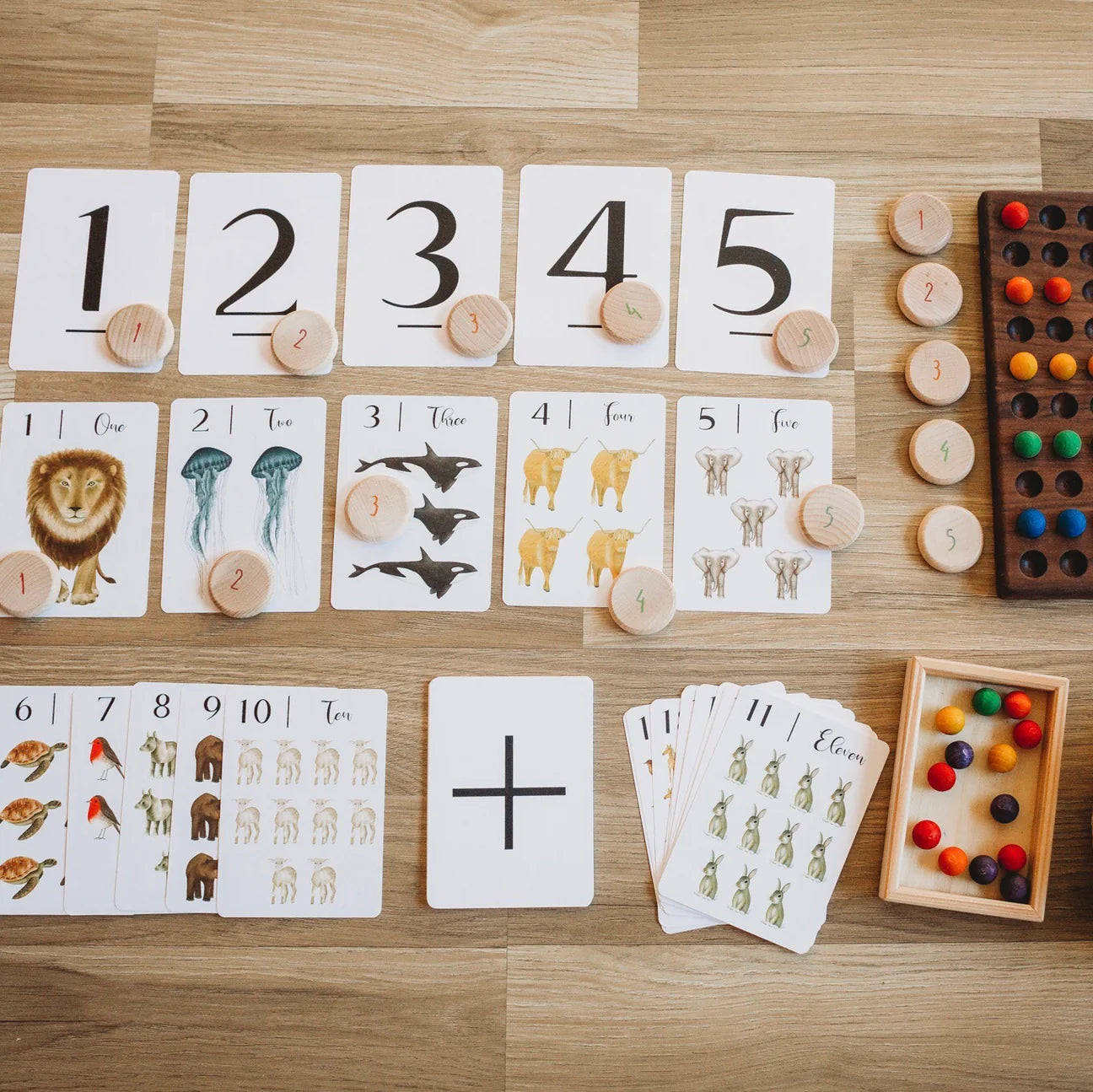 "Nature's 123" Flashcards