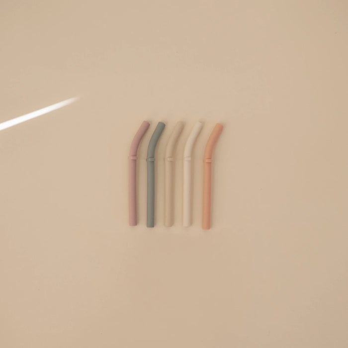 Silicone Replacement Straws - 5 Pack