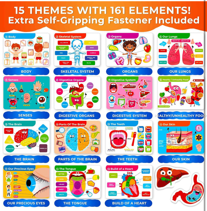 Montessori Busy Book (Our Body)