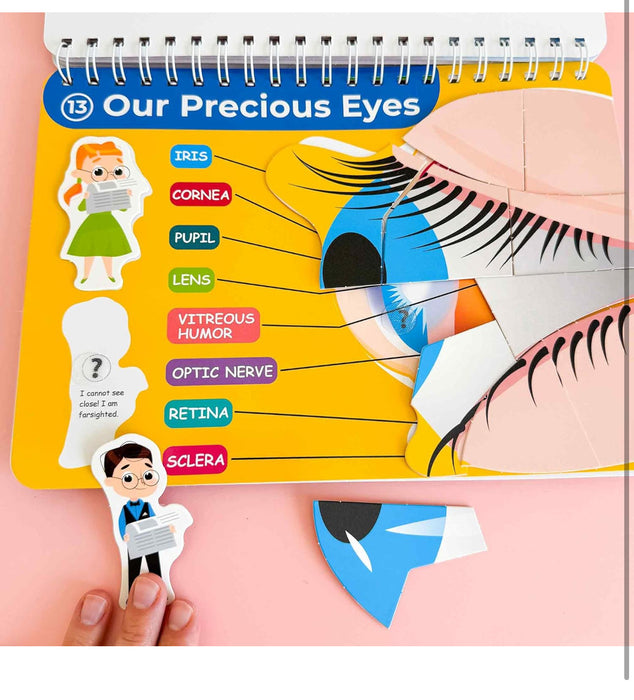 Montessori Busy Book (Our Body)