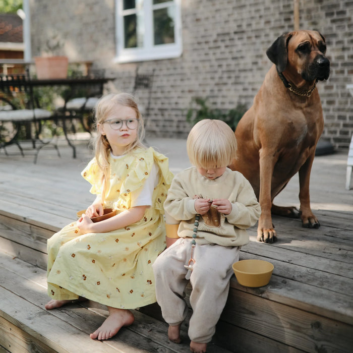 Round Dinnerware Bowl Set of 2