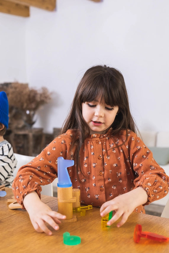 Imaginary Fauna - Desert