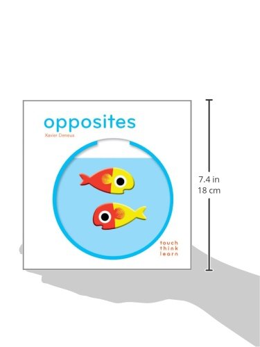 Touch Think Learn - Opposites