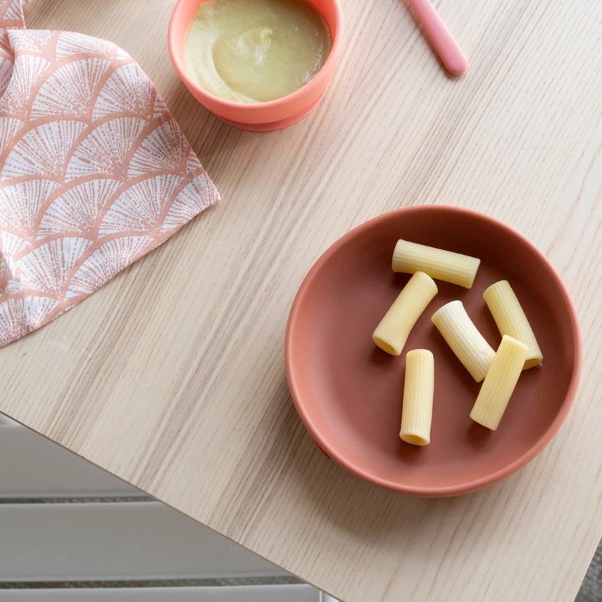 Silicone Suction Plate Set - Blush / Terracotta