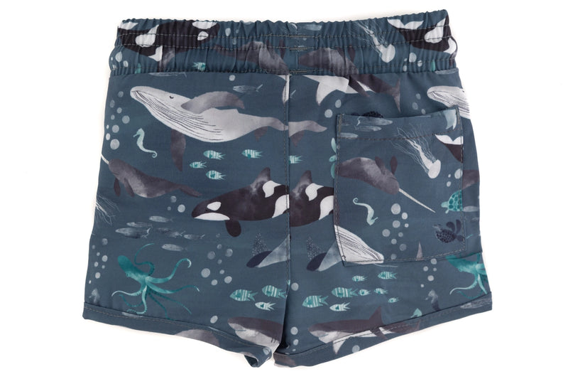 The "Finn" Trunks 6/7 Y