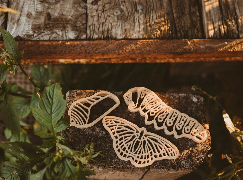 Butterfly Life Cycle Eco Cutter™ Set of 3