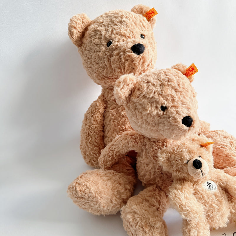Fynn Teddy Bear Plush Toy, 7 Inches (17cm)