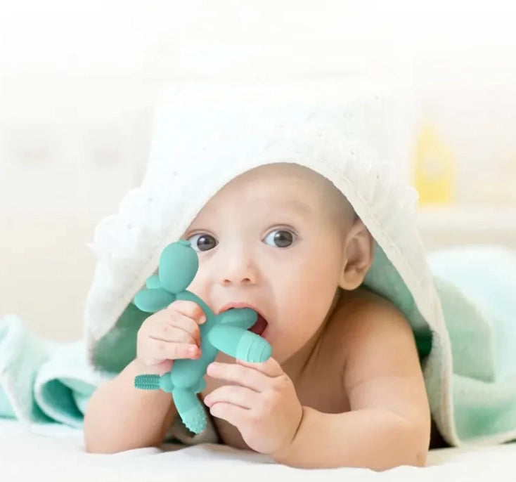 Orange Puppy Teether, Toothbrush