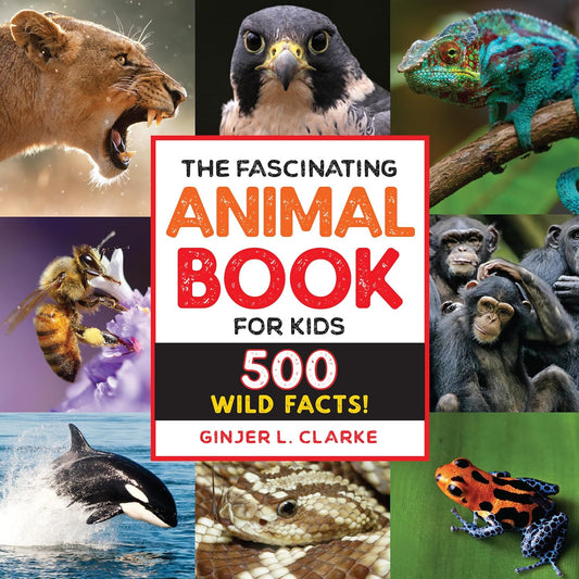 Animal Book for Kids
