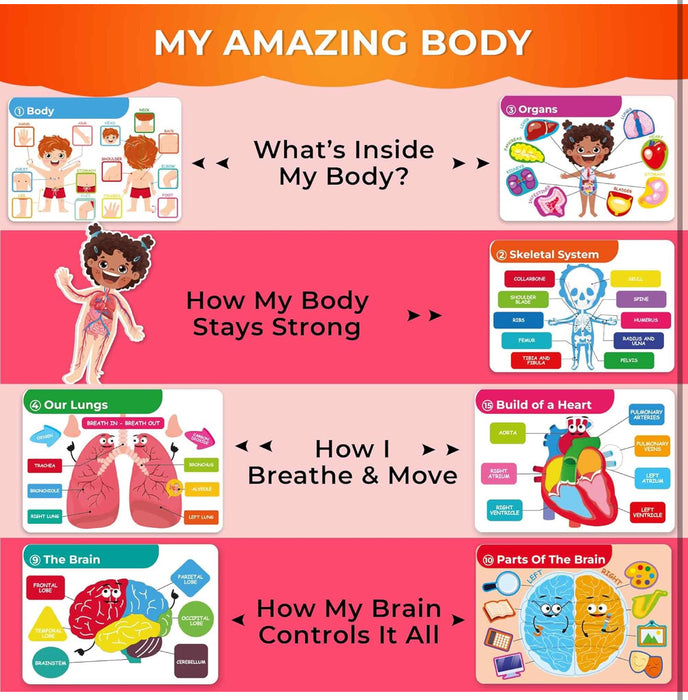 Montessori Busy Book (Our Body)