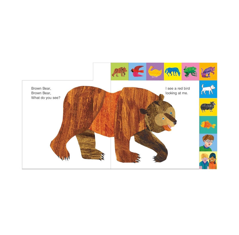 Brown Bear Brown Bear🐻