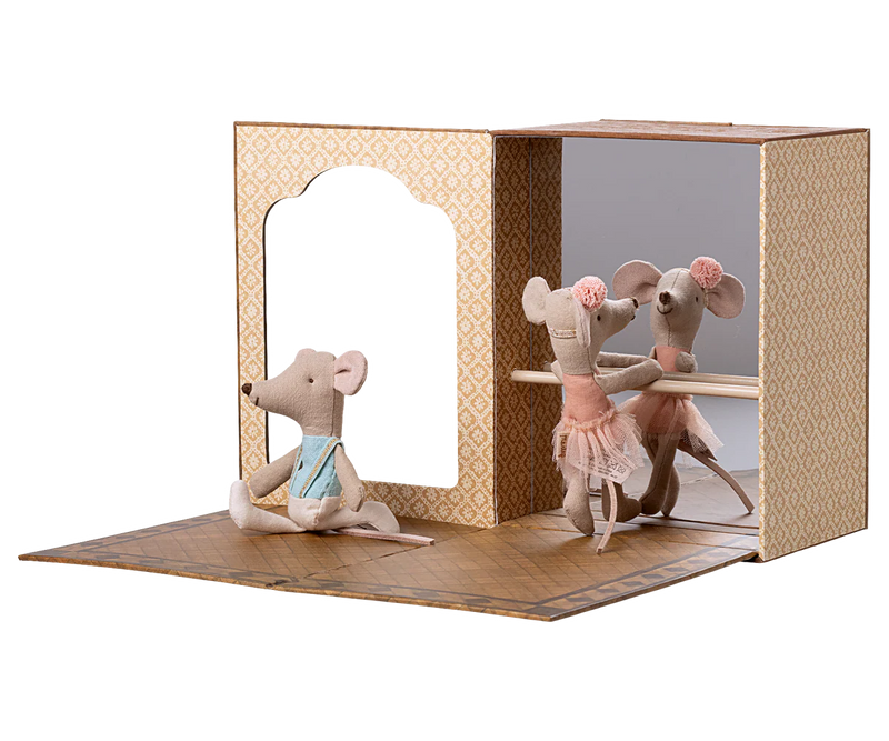Ballet mice in dance studio