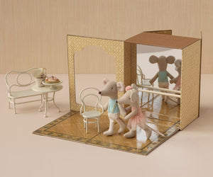 Ballet mice in dance studio