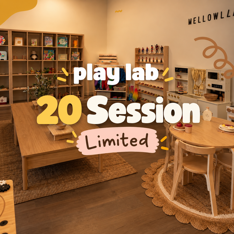 Playlab 20 sessions