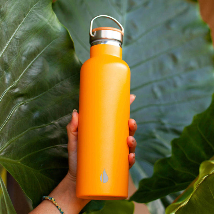 Matte Citrus Classic 25oz Water Bottle