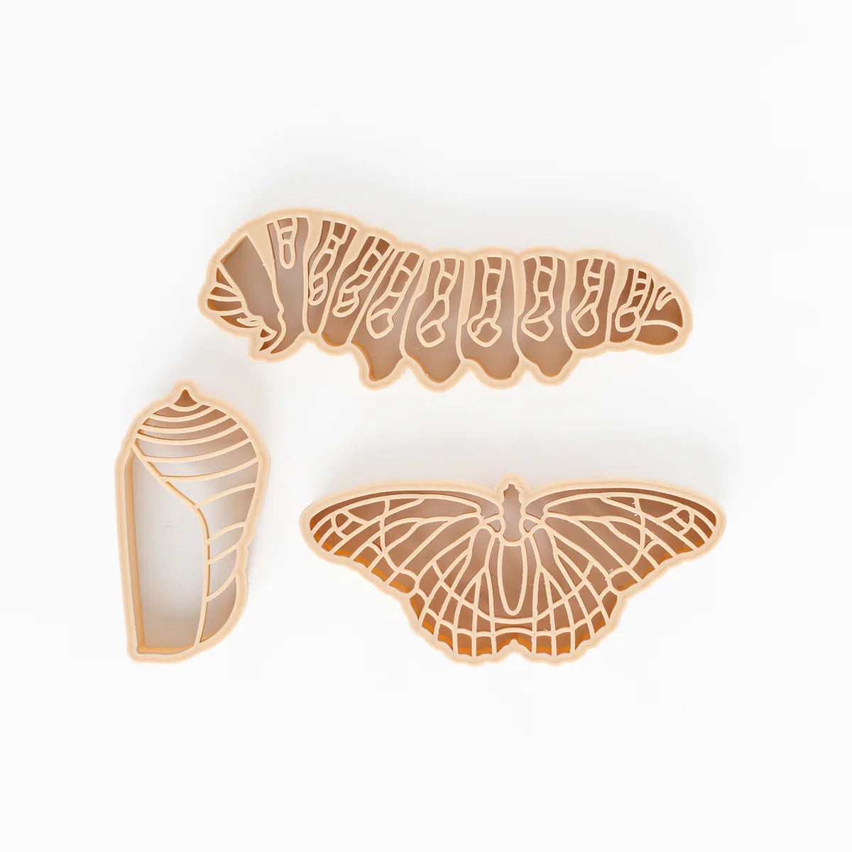 Butterfly Life Cycle Eco Cutter™ Set of 3