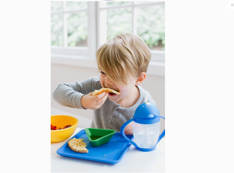 Lollaland Mealtime Bowl