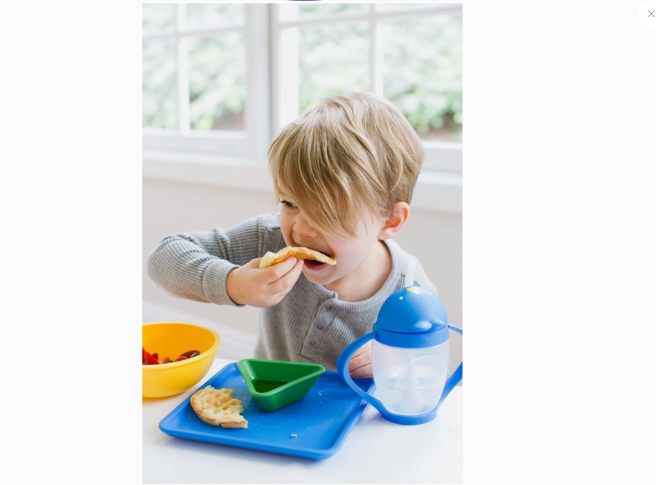 Lollaland Mealtime Bowl