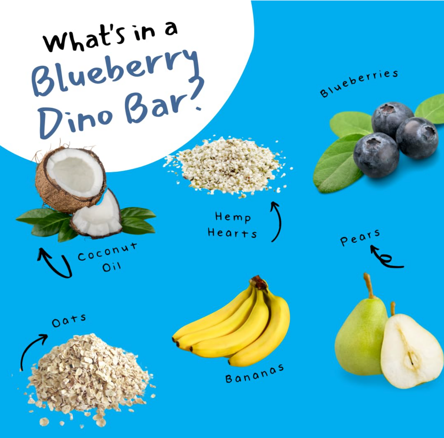 DINO BARS Blueberry Bar | 10 packs