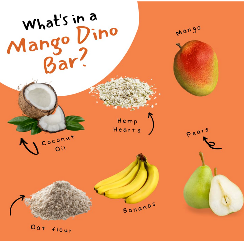 DINO BARS Mango Bar | 10 packs