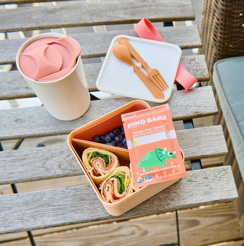 DINO BARS Mango Bar | 10 packs