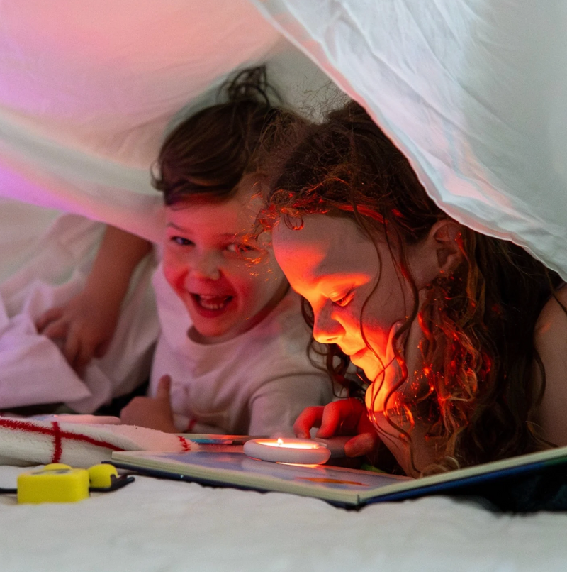 (Pre-Order) Light-Up Library - Pippa's Prehistoric Pals