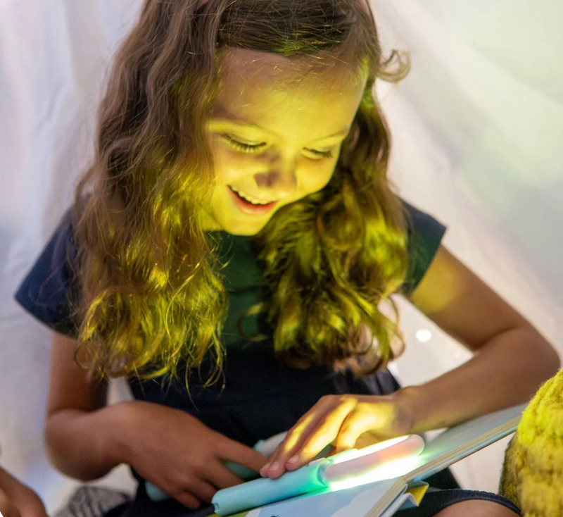 Light-Up Library-Princess Ida