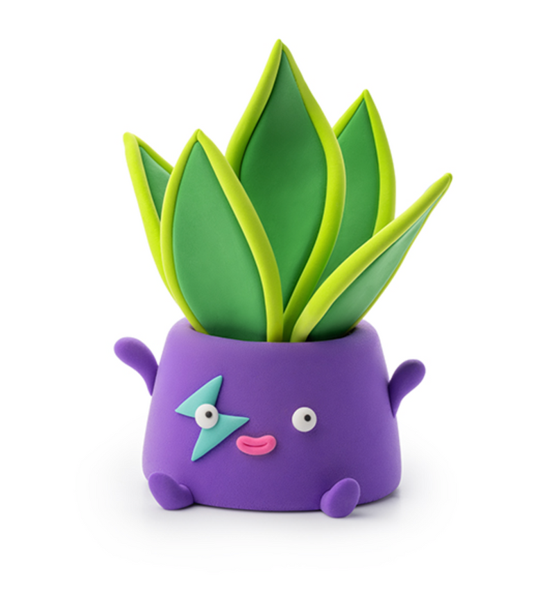 Hey Clay - Plant Folks
