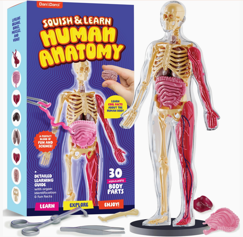 Squishy & Learn Anatomy