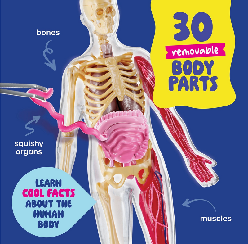 Squishy & Learn Anatomy
