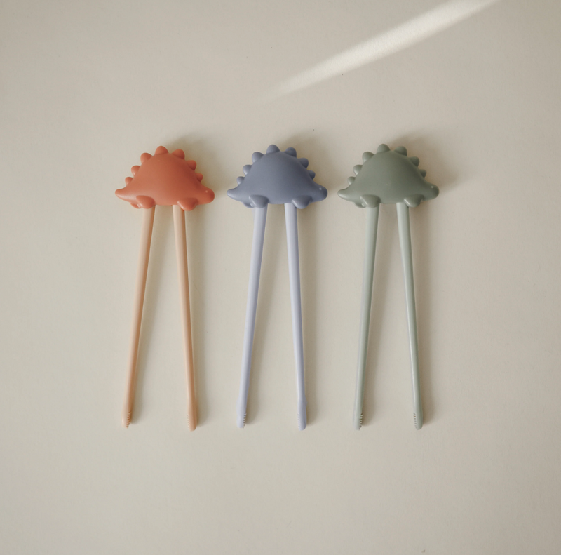 Training Chopstick