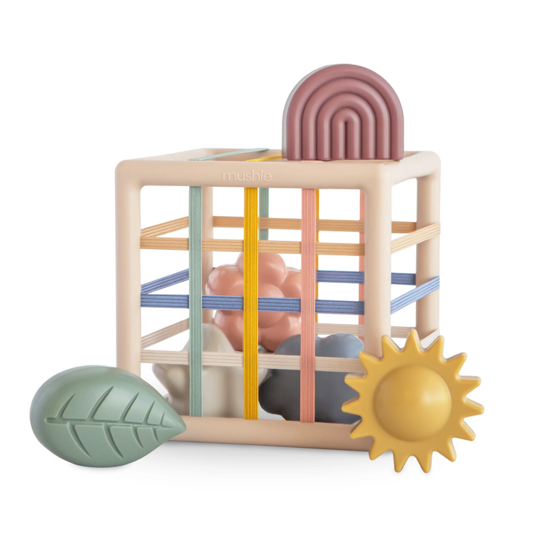 Elastic Shape Sorter