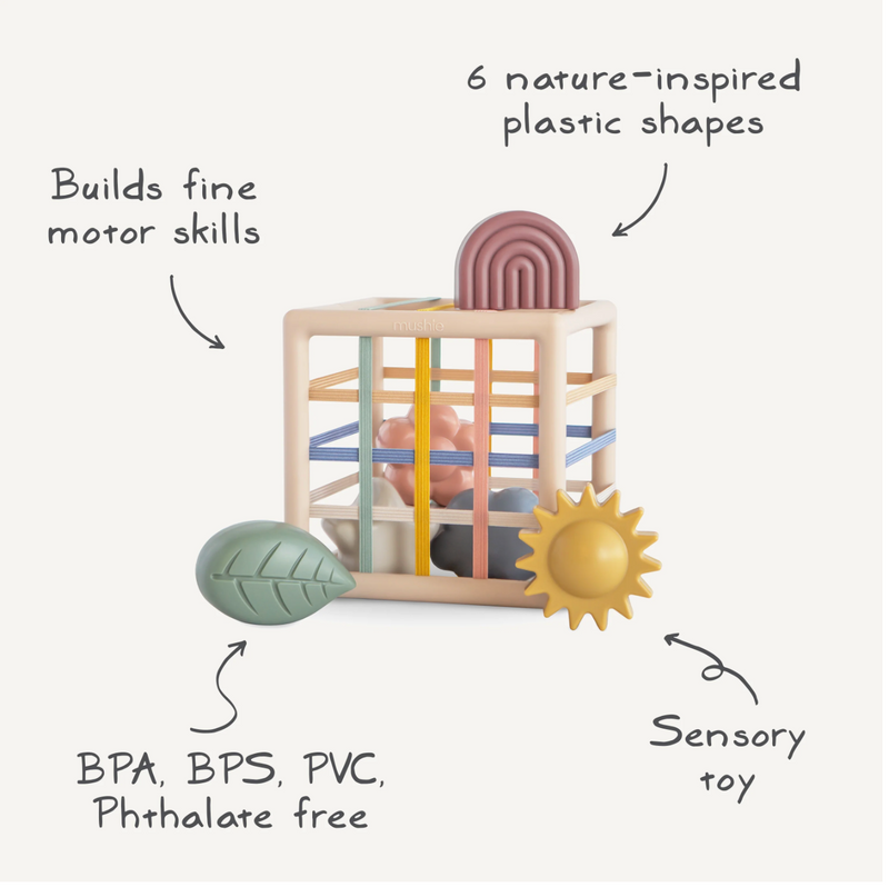 Elastic Shape Sorter