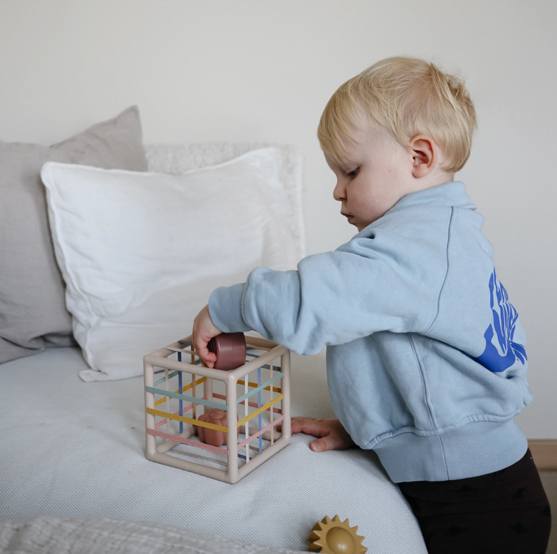 Elastic Shape Sorter