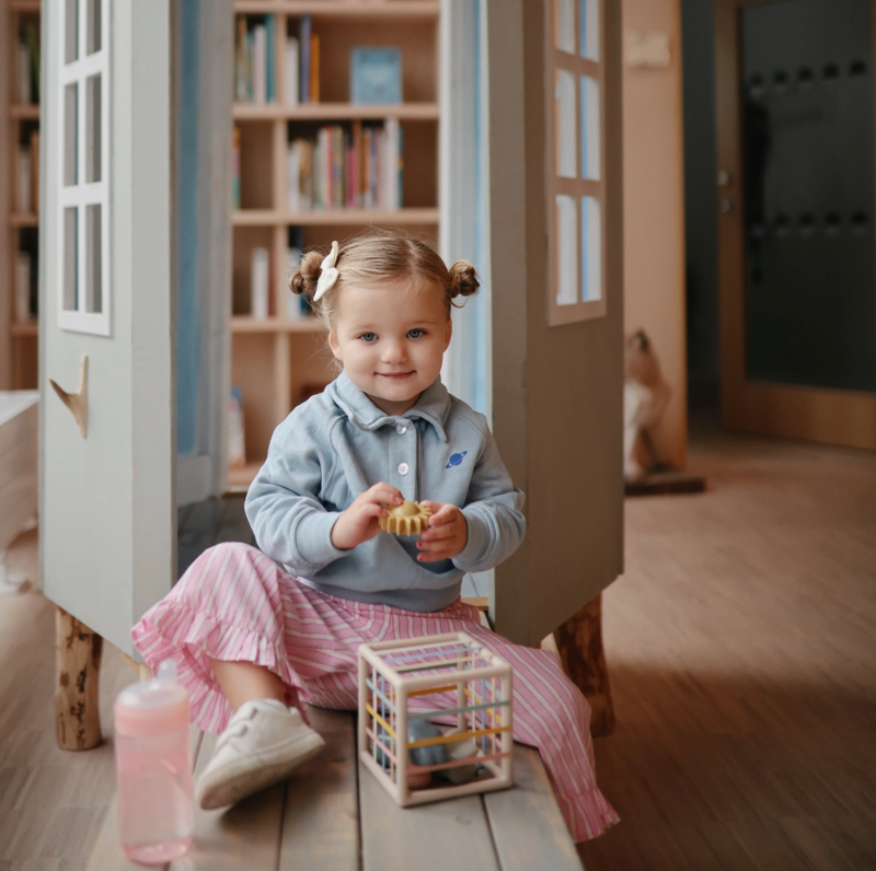 Elastic Shape Sorter