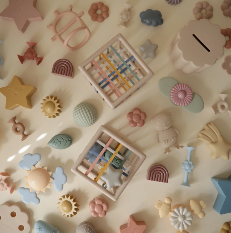 Elastic Shape Sorter
