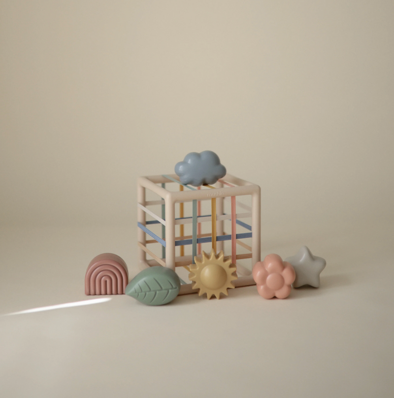 Elastic Shape Sorter