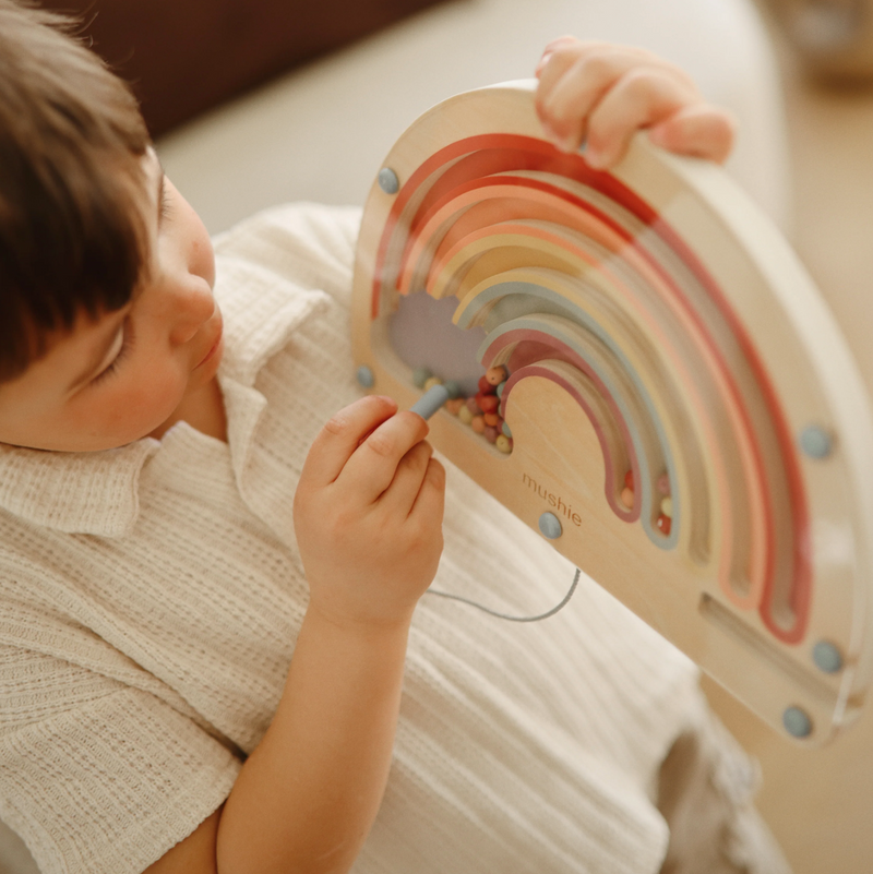Wooden Magnetic Rainbow Maze