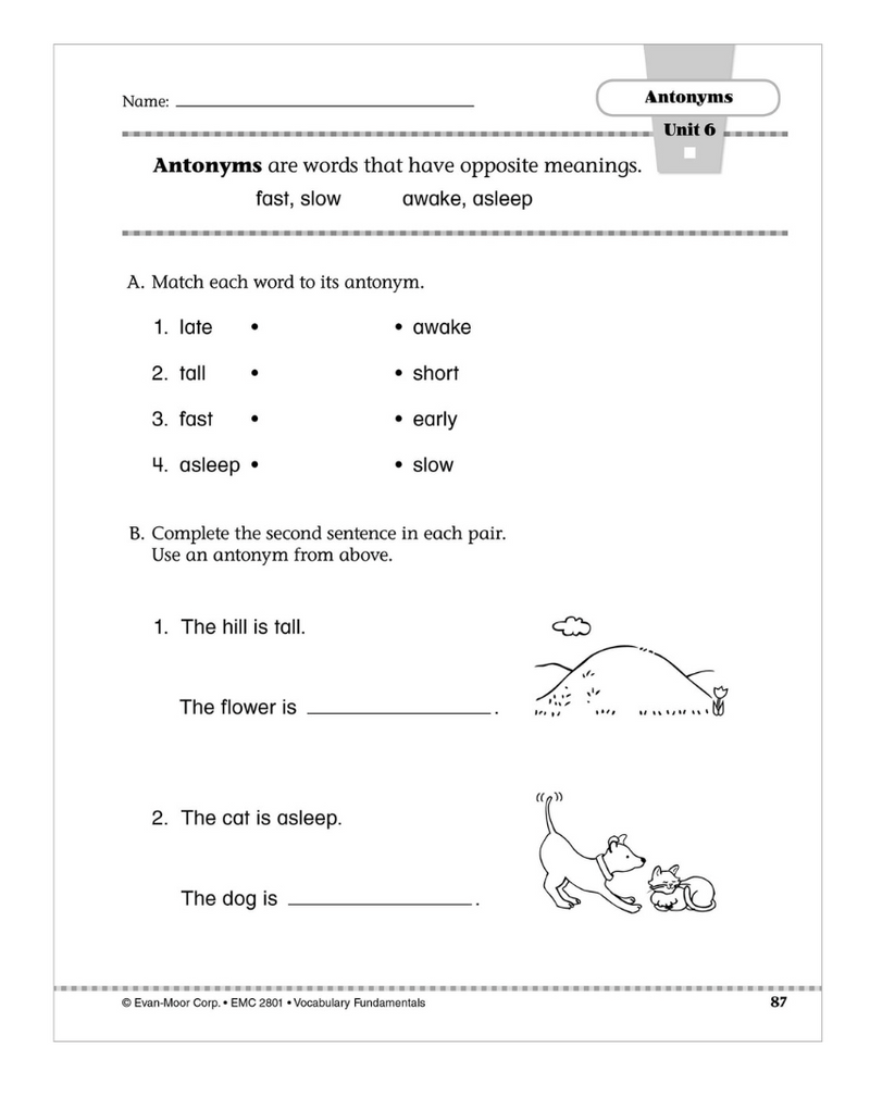 Vocabulary Fundamental