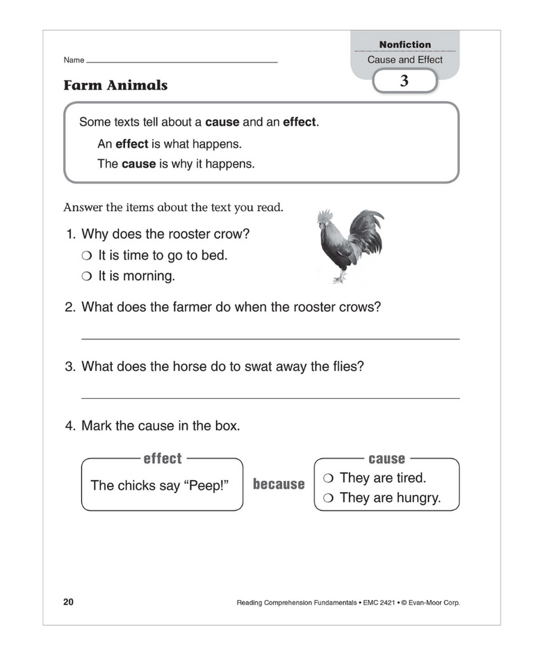 Reading Comprehension Fundamental