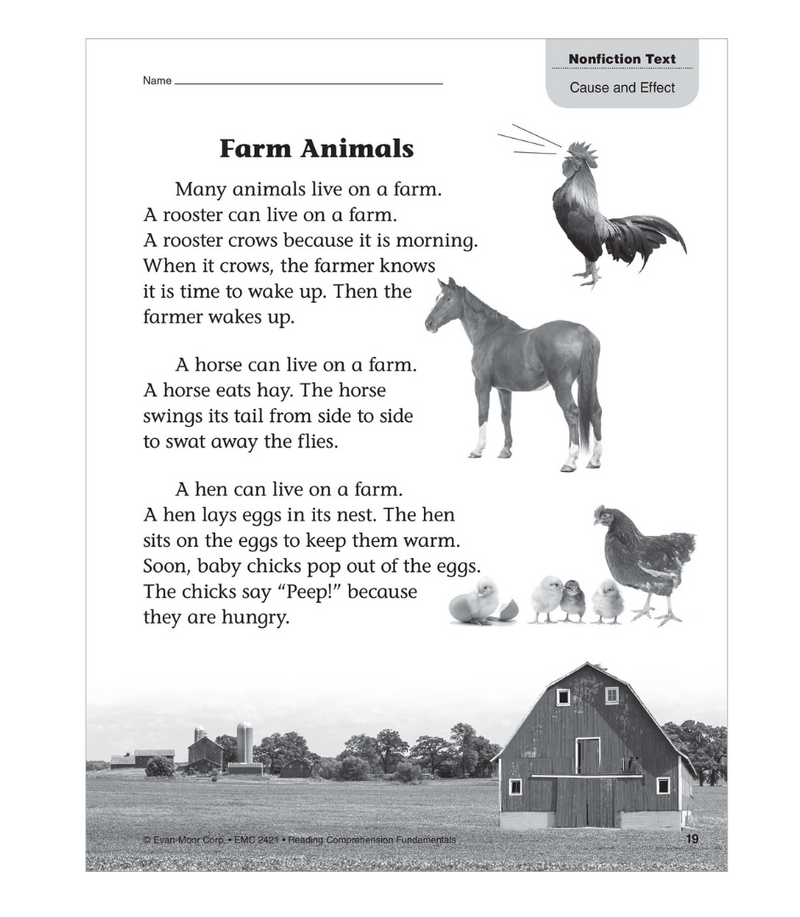 Reading Comprehension Fundamental