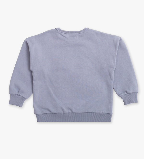 Lou Sweatshirt  - only 2y