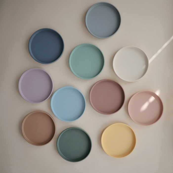 Classic Suction Silicon Plate