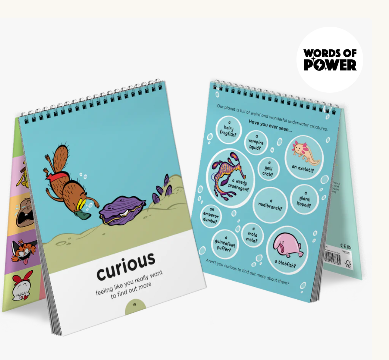 Word Book Set of 2
