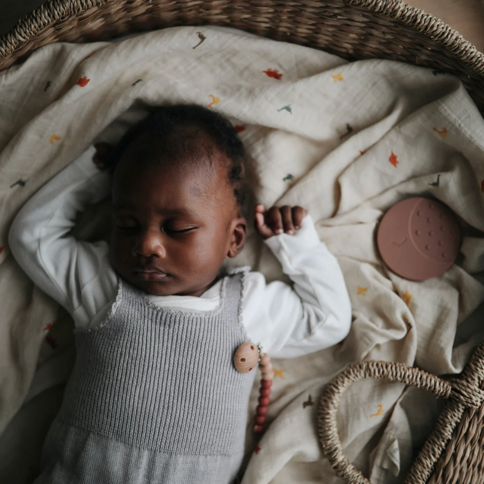 Organic Cotton Muslin Swaddle Blanket - Dinosaur