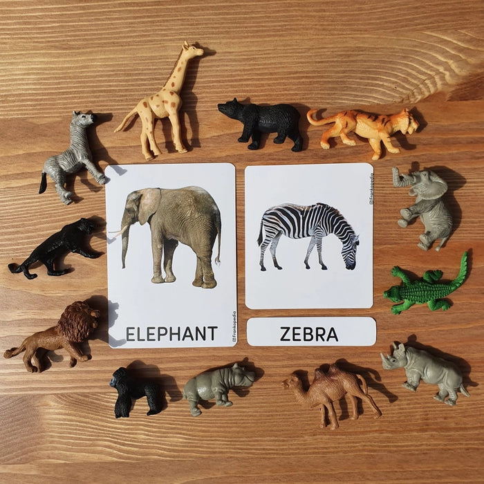 Wild Animals - Cards and Figurines, Matching Game